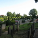 Uelsen, De 09-10-2009 105