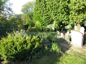 Uelsen, De 09-10-2009 106
