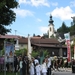 arzl_0264