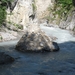 arzl_0285