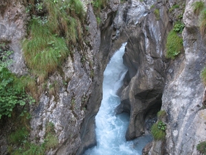 arzl_0294