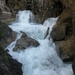 arzl_0295