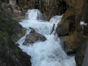 arzl_0295