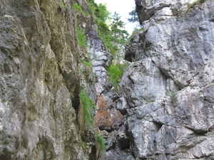 arzl_0355