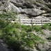 arzl_0358