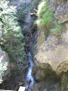 arzl_0367