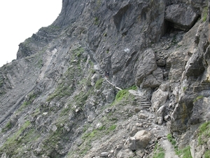 arzl_0389