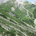 arzl_0391