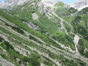 arzl_0391
