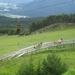 arzl_0408