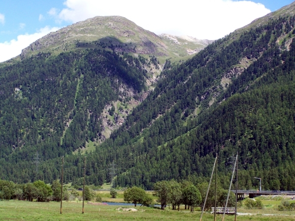 100_0299_bewerkt-1