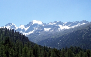 100_0377_bewerkt-1