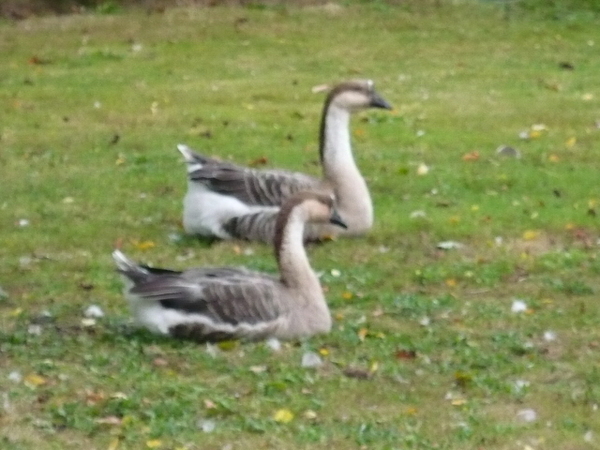 KIJKEN IN N RICHTING