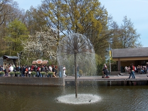 HPIM1948