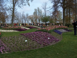 HPIM1972