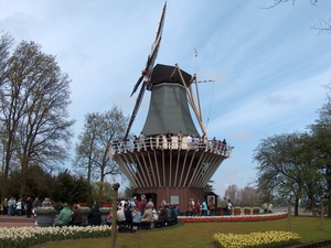 HPIM1974