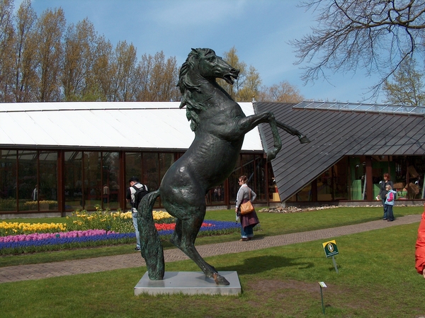 HPIM1981