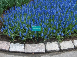 HPIM2005