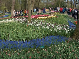 HPIM2006