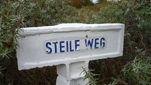 resized_de panne 2009 016