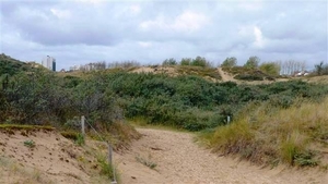 resized_de panne 2009 056