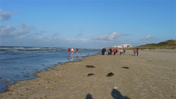 resized_de panne 2009 155