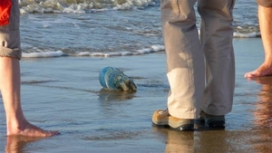 resized_de panne 2009 158