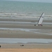 resized_de panne 2009 183
