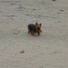 resized_de panne 2009 189