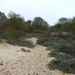 resized_de panne 2009 211