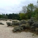 resized_de panne 2009 215
