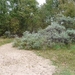 resized_de panne 2009 220