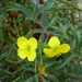 resized_de panne 2009 222