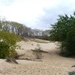 resized_de panne 2009 231