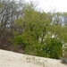 resized_de panne 2009 232