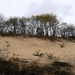 resized_de panne 2009 233