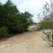 resized_de panne 2009 238