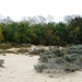resized_de panne 2009 307