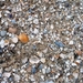 resized_de panne 2009 325