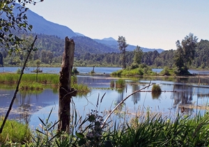 Cheam Lake