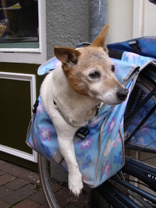 Was ik maar thuis gebleven.