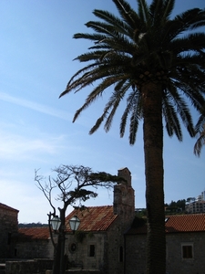 De stad Budva in Montenegro = kleine Dubrovnik