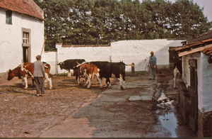 122 boerderij