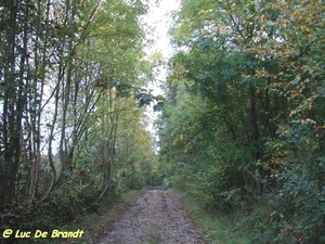 2009_10_11 Florennes 20