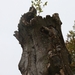 IMG_1044