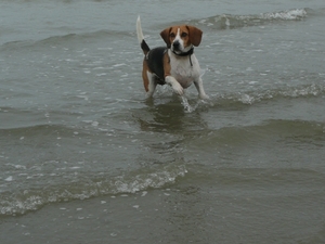 Fleur in de zee