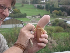 Gedinne2009okt 005