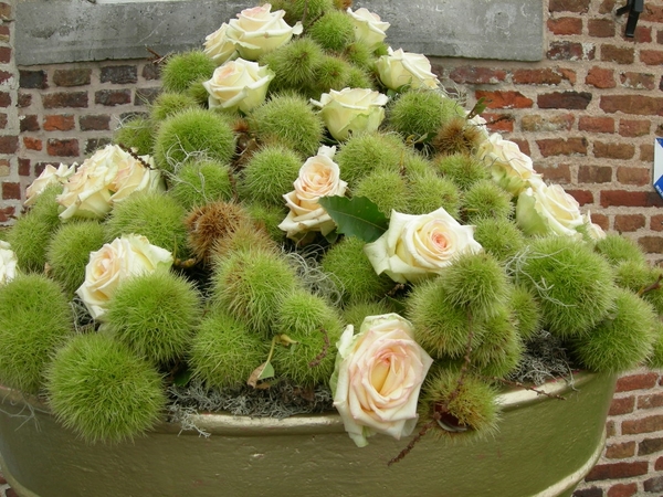 n fik en tante annie 057