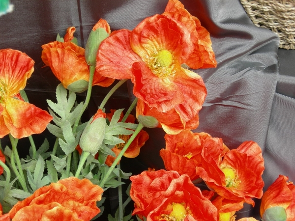 n fik en tante annie 072