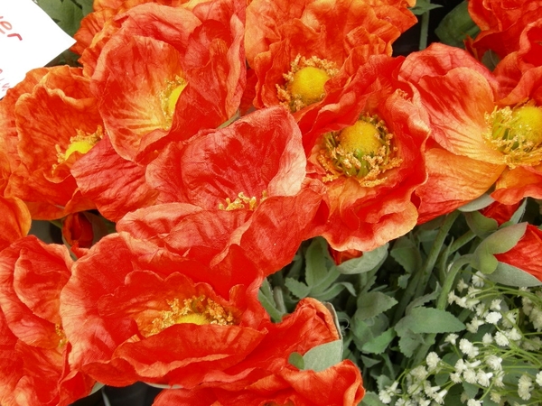 n fik en tante annie 073